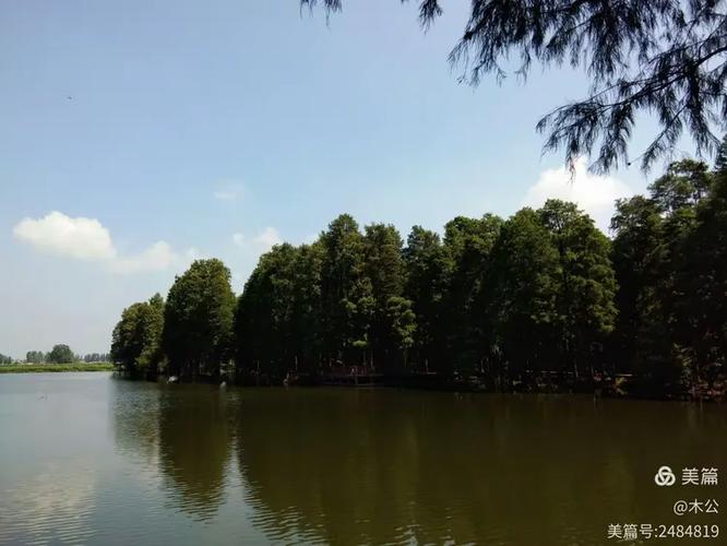 李中水上森林